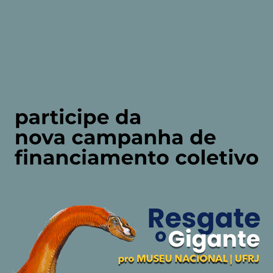 banner da campanha resgate o gigante do museu nacional